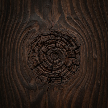 Dark cedar knot with rich texture